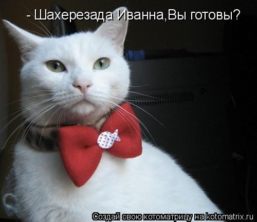 - Шахерезада Иванна,Вы готовы?... Котоматрица: - Шахерезада Иванна,Вы готовы?