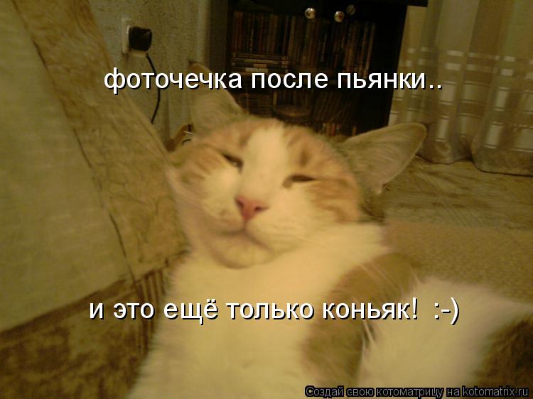 фоточечка после пьянки.. и это ещё только коньяк! :-) и это ещё только коньяк! :-)... Котоматрица: фоточечка после пьянки.. и это ещё только коньяк! :-) и это ещё только коньяк! :-)