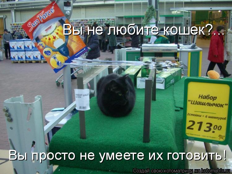 Вы не любите кошек?... Вы просто не умеете их готовить!... Котоматрица: Вы не любите кошек?... Вы просто не умеете их готовить!