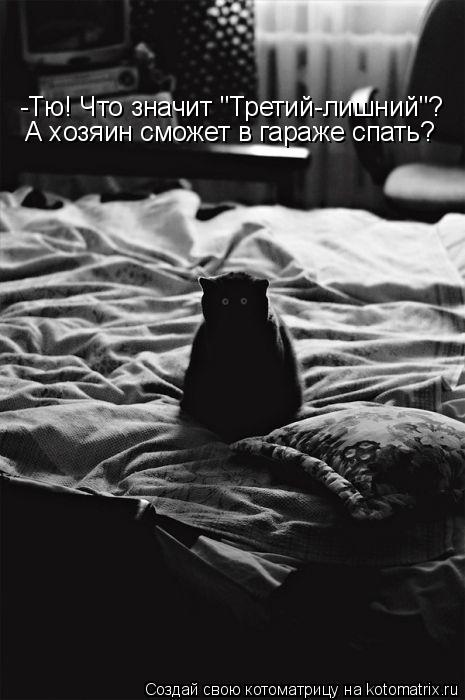 -Тю! Что значит "Третий-лишний"? А хозяин сможет в гараже спать?... Котоматрица: -Тю! Что значит "Третий-лишний"? А хозяин сможет в гараже спать?
