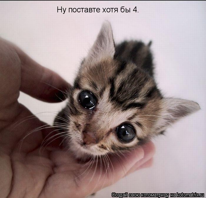 Ну поставте хотя бы 4.... Котоматрица: Ну поставте хотя бы 4.