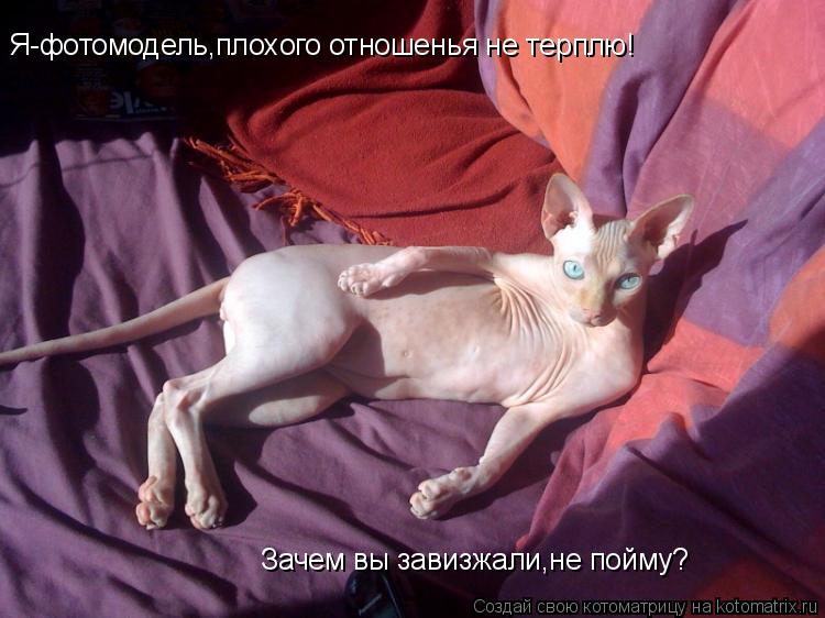 Я-фотомодель,плохого отношенья не терплю! Зачем вы завизжали,не пойму?... Котоматрица: Я-фотомодель,плохого отношенья не терплю! Зачем вы завизжали,не пойму?