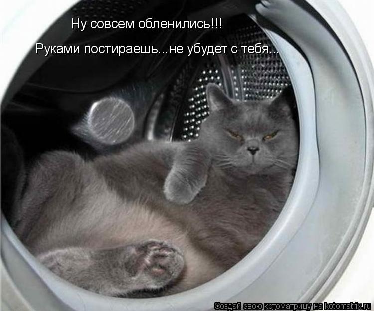 Ну совсем обленились!!! Руками постираешь...не убудет с тебя...... Котоматрица: Ну совсем обленились!!! Руками постираешь...не убудет с тебя...