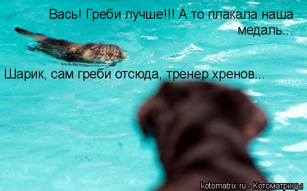 Вась! Греби лучше!!! А то плакала наша медаль... Шарик, сам греби отсюда, тренер хренов...... Котоматрица: Вась! Греби лучше!!! А то плакала наша медаль... Шарик, сам греби отсюда, тренер хренов...