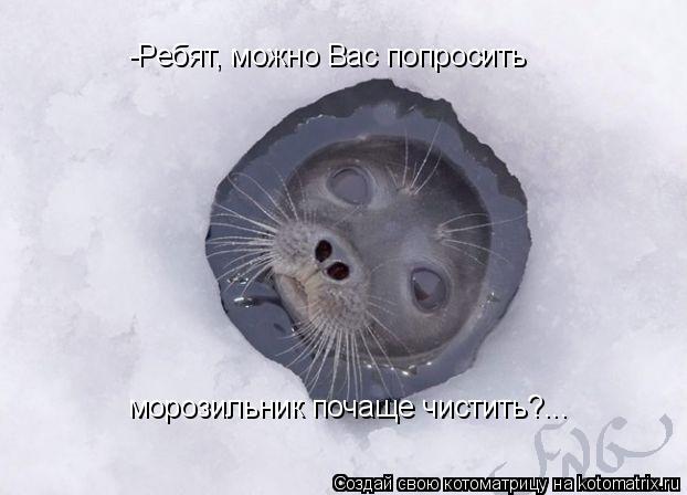 -Ребят, можно Вас попросить морозильник почаще чистить?...... Котоматрица: -Ребят, можно Вас попросить морозильник почаще чистить?...
