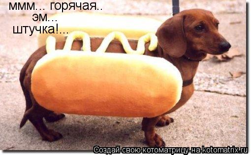 ммм... горячая.. эм... штучка!...... Котоматрица: ммм... горячая.. эм... штучка!...