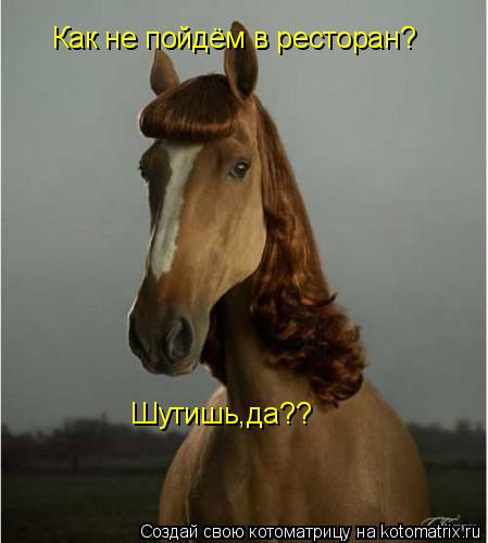 Как не пойдём в ресторан? Шутишь,да??... Котоматрица: Как не пойдём в ресторан? Шутишь,да??