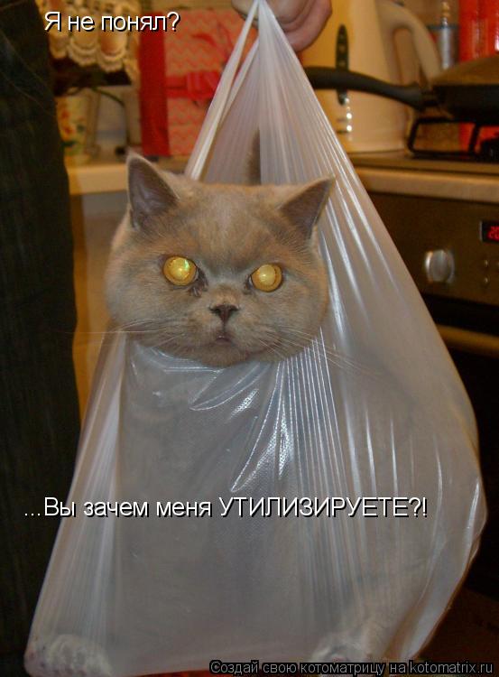 Я не понял? ...Вы зачем меня УТИЛИЗИРУЕТЕ?!... Котоматрица: Я не понял? ...Вы зачем меня УТИЛИЗИРУЕТЕ?!