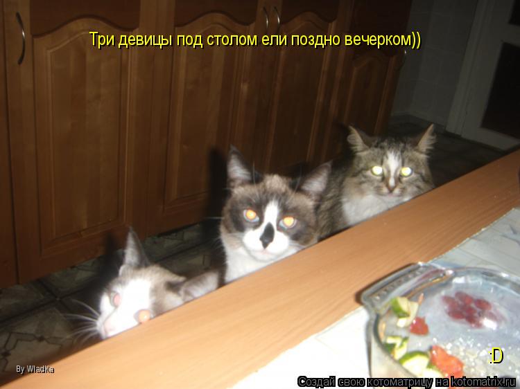 Котоматрица: Три девицы под столом ели поздно вечерком)) :D By WladKa