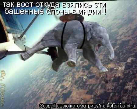 Котоматрица: так воот откуда взялись эти башенные слоны в индии!!