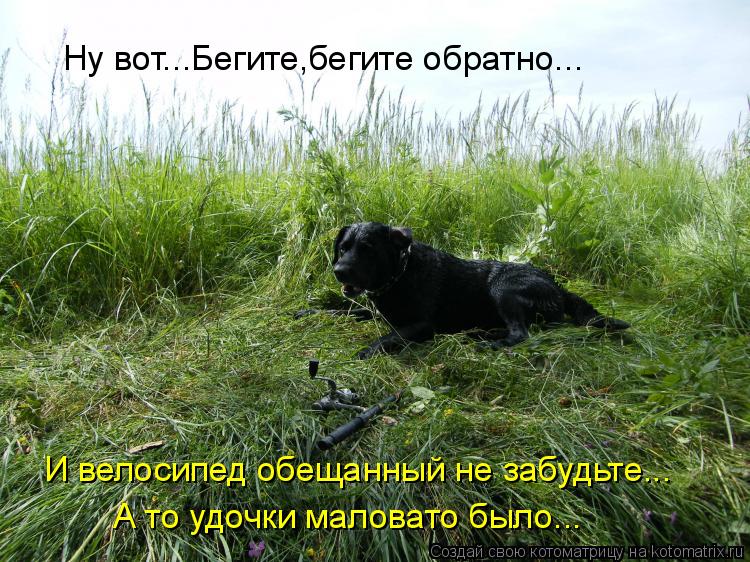 Котоматрица: Ну вот...Бегите,бегите обратно... И велосипед обещанный не забудьте... А то удочки маловато было...