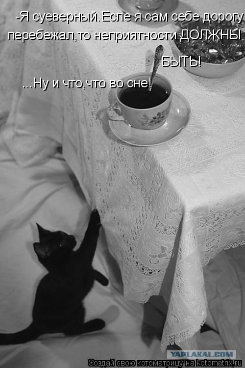 Котоматрица: -Я суеверный.Есле я сам себе дорогу перебежал,то неприятности ДОЛЖНЫ БЫТЬ! БЫТЬ! перебежал,то неприятности ДОЛЖНЫ БЫТЬ! ...Ну и что,что во сне!