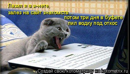 Котоматрица: Лазил я в и-нете, залез на сайт знакомств... потом три дня в буфете  пил водку под откос