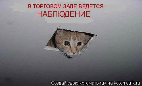Котоматрица: В ТОРГОВОМ ЗАЛЕ ВЕДЕТСЯ  НАБЛЮДЕНИЕ НАБЛЮДЕНИЕ НАБЛЮДЕНИЕ