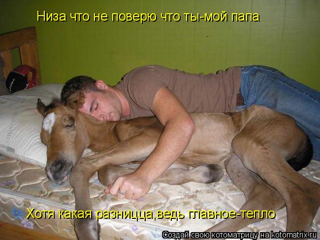 Котоматрица: Низа что не поверю что ты-мой папа Хотя какая разницца,ведь главное-тепло