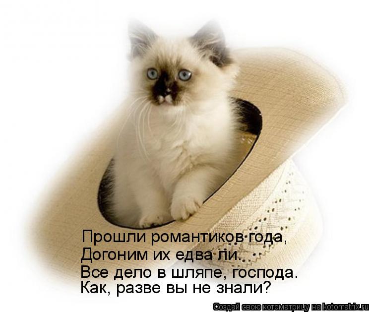 Котоматрица: Прошли романтиков года, Догоним их едва ли. Все дело в шляпе, господа. Как, разве вы не знали?