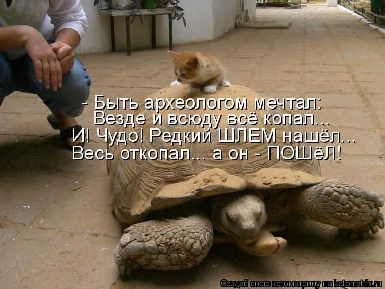 - Быть археологом мечтал: Везде и всюду всё копал... И! Чудо! Редкий ШЛЕМ нашёл... Весь откопал... а ... Котоматрица: - Быть археологом мечтал: Везде и всюду всё копал... И! Чудо! Редкий ШЛЕМ нашёл... Весь откопал... а он - ПОШёЛ!