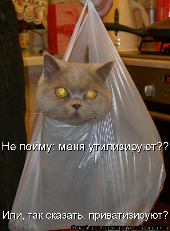 Котоматрица: Не пойму: меня утилизируют???? Или, так сказать, приватизируют?