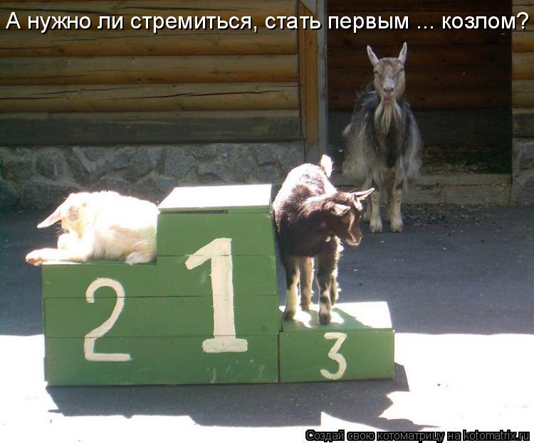 А нужно ли стремиться, стать первым ... козлом?... Котоматрица: А нужно ли стремиться, стать первым ... козлом?