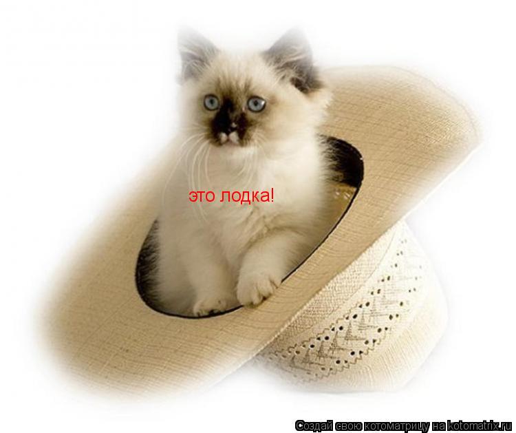 Котоматрица: это лодка!