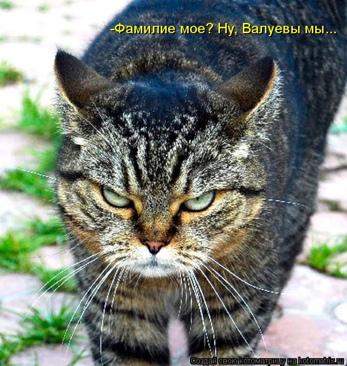 -Фамилие мое? Ну, Валуевы мы...... Котоматрица: -Фамилие мое? Ну, Валуевы мы...
