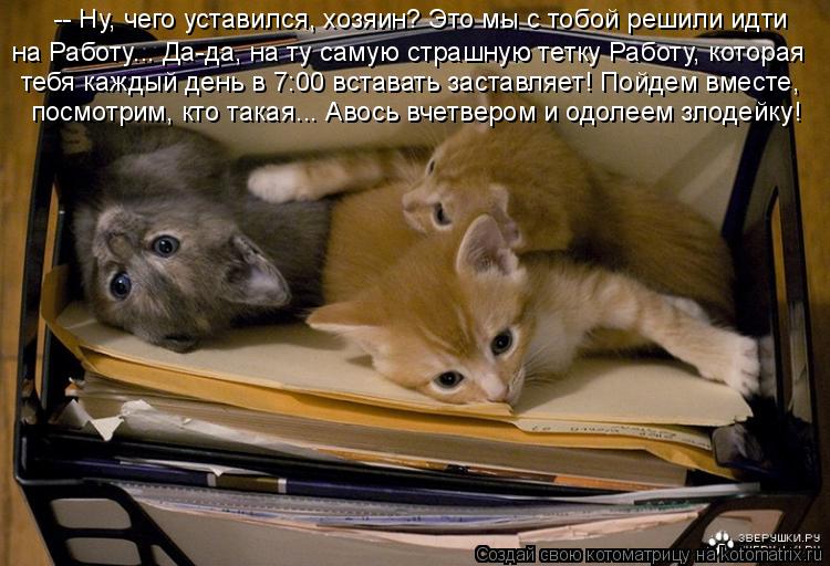 -- Ну, чего уставился, хозяин? Это мы с тобой решили идти тебя каждый день в 7:00 вставать заставляет... Котоматрица: -- Ну, чего уставился, хозяин? Это мы с тобой решили идти тебя каждый день в 7:00 вставать заставляет! Пойдем вместе, посмотрим, кто такая... Авос