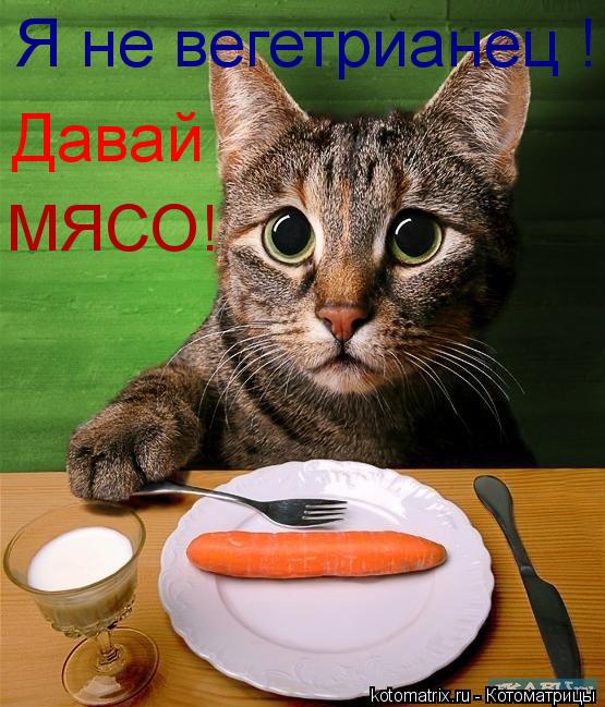 Я не вегетрианец ! Давай МЯСО!... Котоматрица: Я не вегетрианец ! Давай МЯСО!