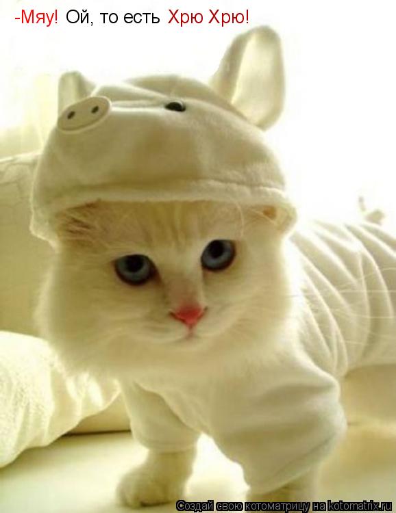 -Мяу! Ой, то есть Хрю Хрю!... Котоматрица: -Мяу! Ой, то есть Хрю Хрю!