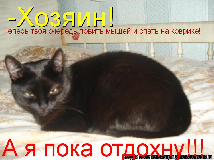 -Хозяин! Теперь твоя очередь ловить мышей и спать на коврике! А я пока отдохну!!!... Котоматрица: -Хозяин! Теперь твоя очередь ловить мышей и спать на коврике! А я пока отдохну!!!