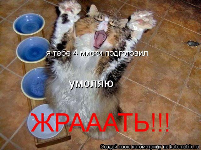 я тебе 4 миски подготовил умоляю ЖРАААТЬ!!!... Котоматрица: я тебе 4 миски подготовил умоляю ЖРАААТЬ!!!