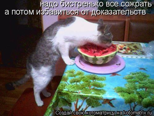 Котоматрица: надо бистренько все сожрать потом а избавиться от доказательств надо бистренько все сожрать потом а избавиться от доказательств а потом и