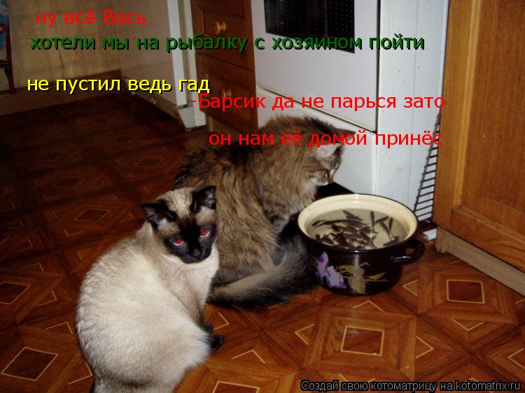 Котоматрица: ну всё Вась  хотели мы на рыбалку с хозяином пойти не пустил ведь гад -Барсик да не парься зато  он нам её домой принёс