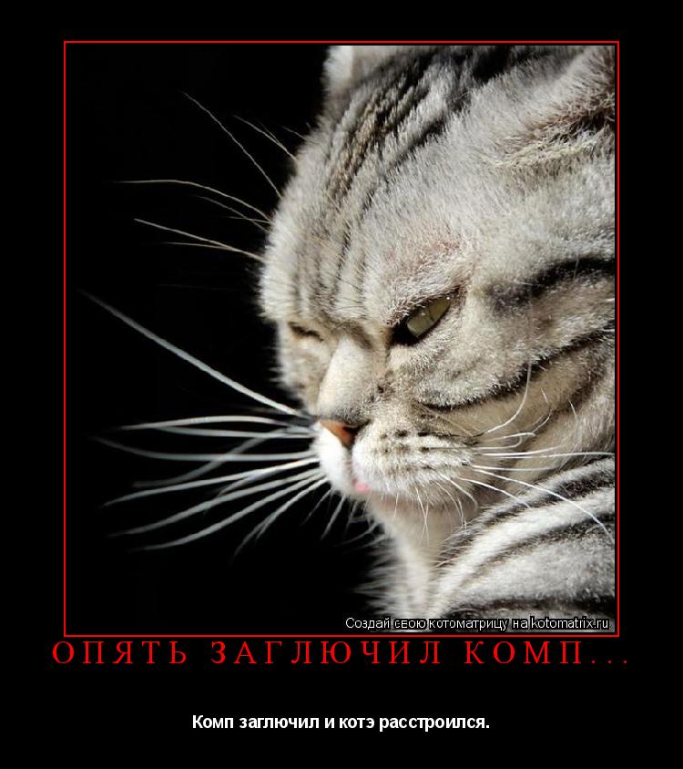 Опять заглючил комп... Комп заглючил и котэ расстроился.... Котоматрица: Опять заглючил комп... Комп заглючил и котэ расстроился.
