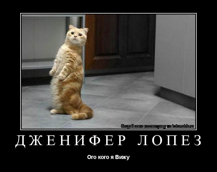 Дженифер Лопез Ого кого я Вижу... Котоматрица: Дженифер Лопез Ого кого я Вижу