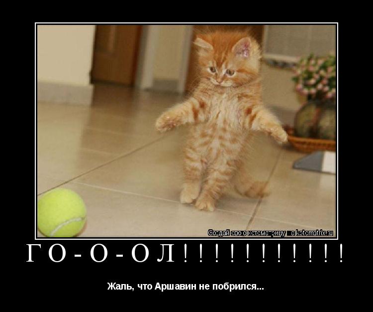 Котоматрица: ГО-О-ОЛ!!!!!!!!!!! Жаль, что Аршавин не побрился...