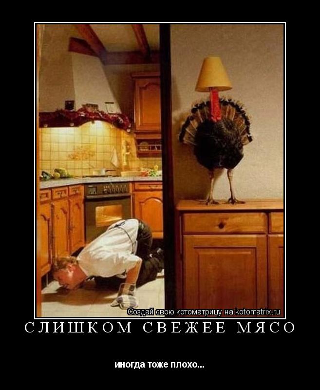 Котоматрица: Слишком свежее мясо иногда тоже плохо...