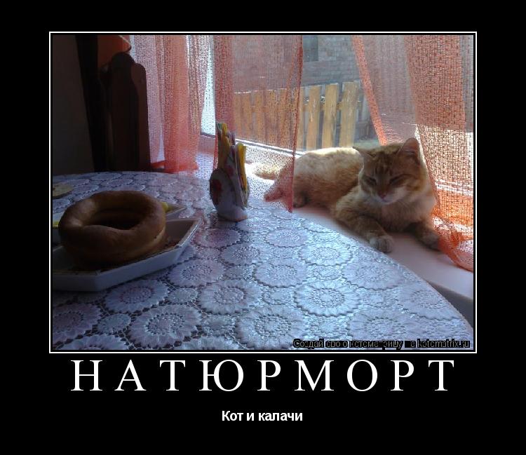 Котоматрица: Натюрморт Кот и калачи