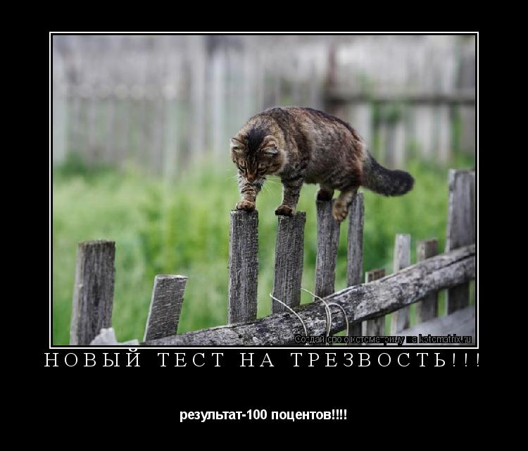 НОВЫЙ ТЕСТ НА ТРЕЗВОСТЬ!!! результат-100 поцентов!!!!... Котоматрица: НОВЫЙ ТЕСТ НА ТРЕЗВОСТЬ!!! результат-100 поцентов!!!!