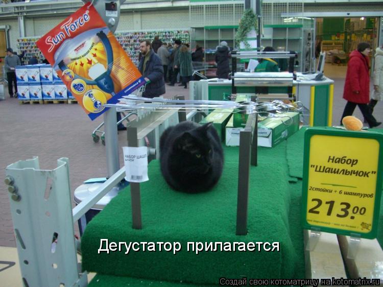 Котоматрица: Дегустатор прилагается