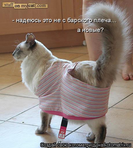 Котоматрица: - надеюсь это не с барского плеча... а новые?