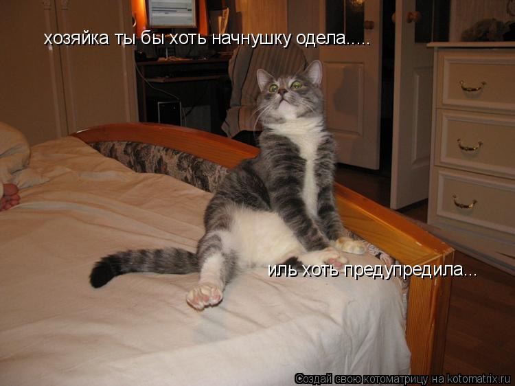 Котоматрица: хозяйка ты бы хоть начнушку одела..... иль хоть предупредила...