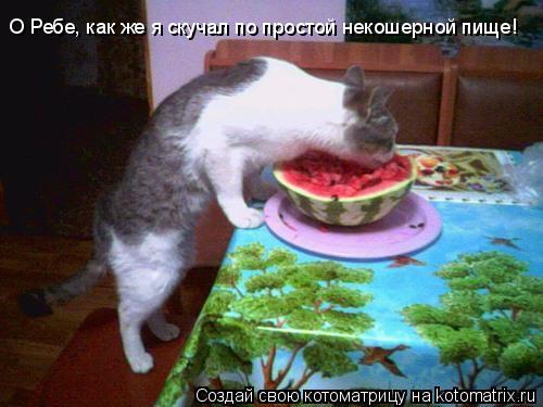 Котоматрица: О Ребе, как же я скучал по простой некошерной пище!