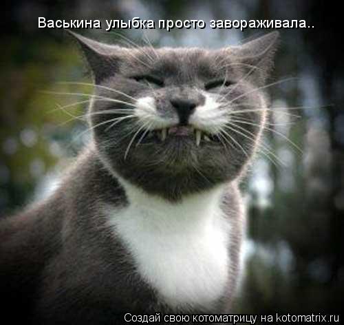 Котоматрица: Васькина улыбка просто завораживала..