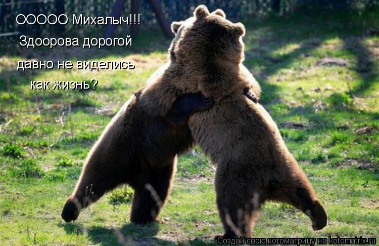 Котоматрица: ООООО Михалыч!!! Здоорова дорогой давно не виделись давно не виделись как жизнь?