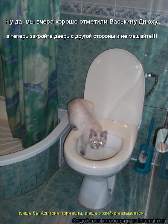 Котоматрица: Ну да, мы вчера хорошо отметили Васькину Днюху... а теперь закройте дверь с другой стороны и не мешайте!!! лучше бы Аспирин принесла, а ещё хоз