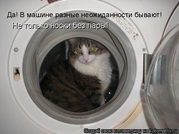 Котоматрица: Да! В машине разные неожиданности бывают! Не только носки без пары!