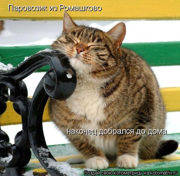 Котоматрица: Паровозик из Ромашково наконец добрался до дома