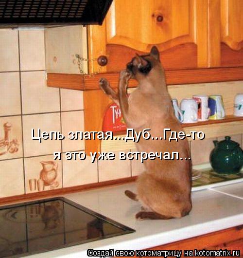 Цепь златая...Дуб...Где-то я это уже встречал...... Котоматрица: Цепь златая...Дуб...Где-то я это уже встречал...