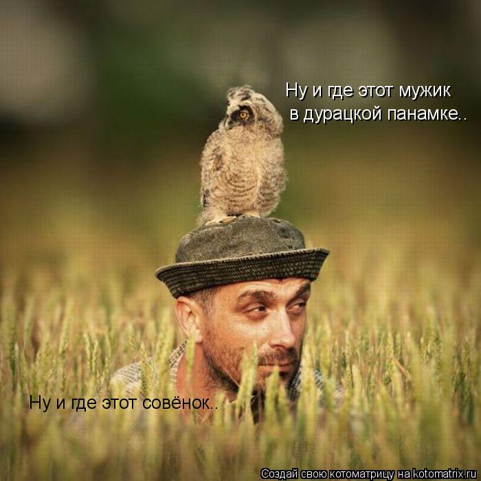 Ну и где этот мужик в дурацкой панамке.. Ну и где этот совёнок..... Котоматрица: Ну и где этот мужик в дурацкой панамке.. Ну и где этот совёнок..