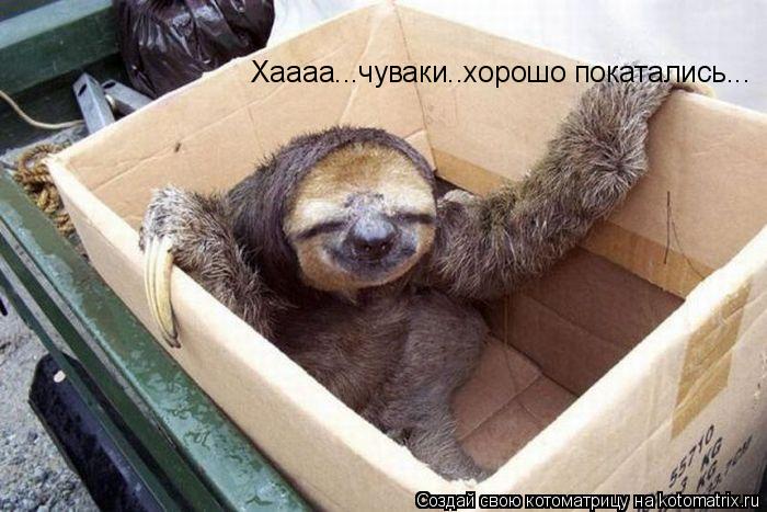Котоматрица: Хаааа...чуваки..хорошо покатались...